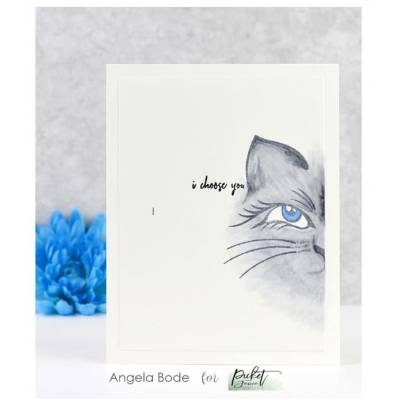 Tampons - Picket Fence - Cali Kitten