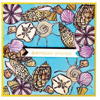 Tampons - Studio Light - Jane Davenport - Coquillages