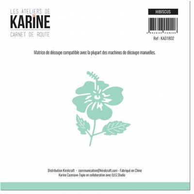 Die - Les Ateliers de Karine - Carnet de route - Hibiscus