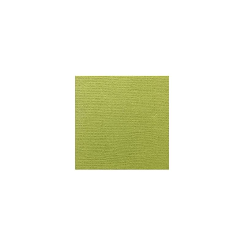 Cardstock texturé canvas - Coloris Vert de rage