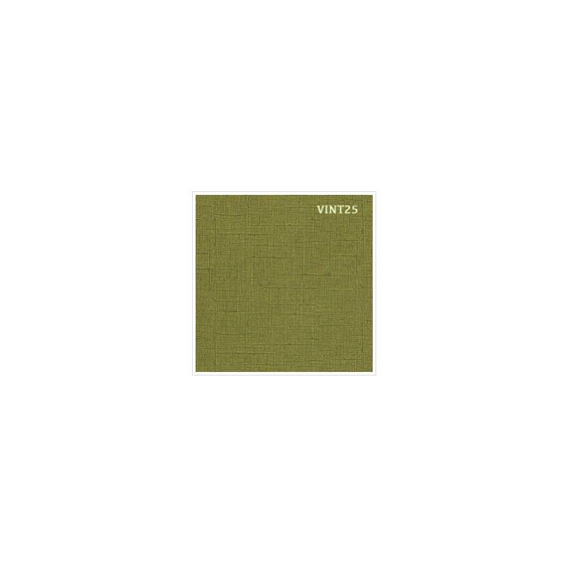 Cardstock texturé canvas - Coloris Vintage Vert Kaki