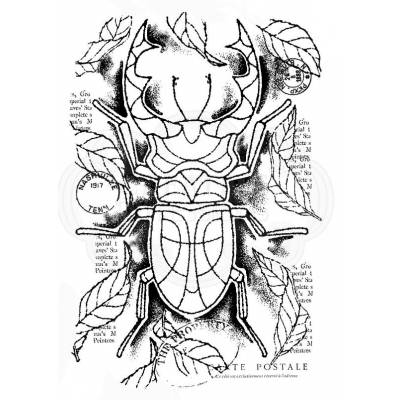 Tampons - Woodware - Stag Beetle - détails
