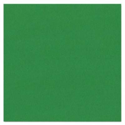 Bazzill Texture Canvas - Classic Green