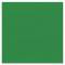 Bazzill Texture Canvas - Classic Green