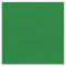 Bazzill Texture Canvas - Classic Green