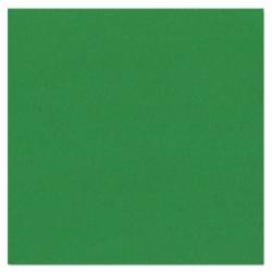 Bazzill Texture Canvas - Classic Green