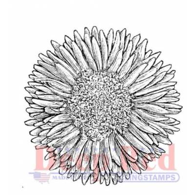 Tampon - Deep Red - Chrysanthemium