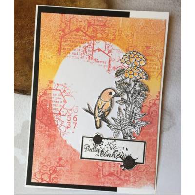 Boîte Créative - CartoScrap - Freestyle