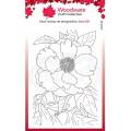 Tampons - Woodware - Pivoine