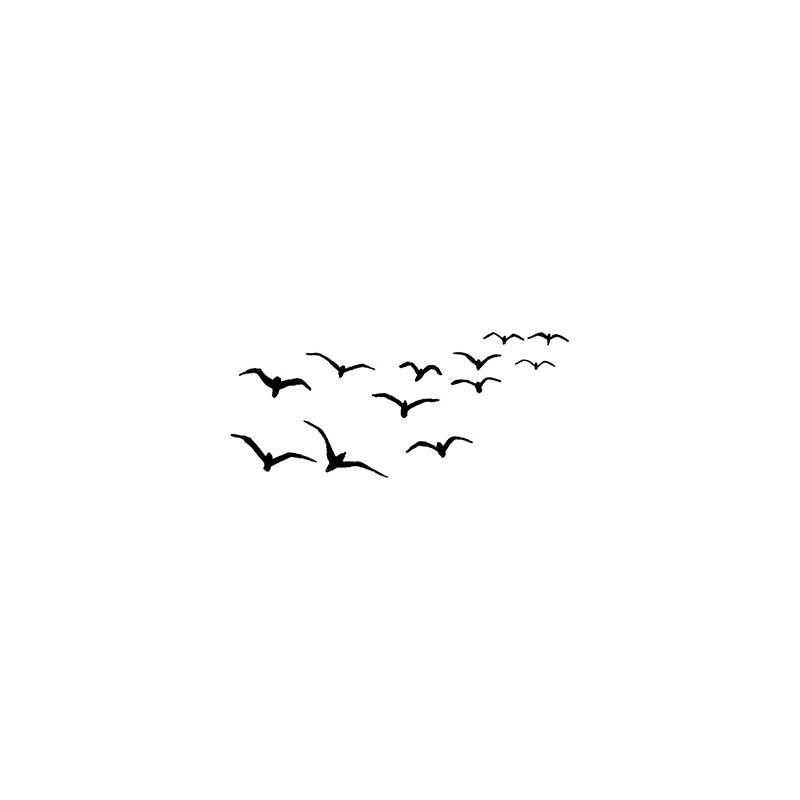 Tampon Clear - Lavinia - Birds