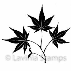 Tampon Clear - Lavinia - Mini leaf 5