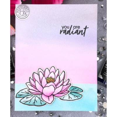 Tampons - Hero Arts -