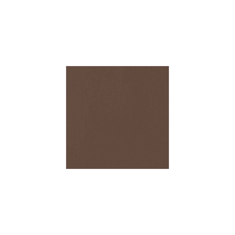 Cardstock AC - Chestnut