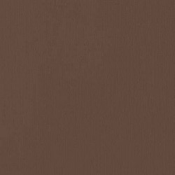 Cardstock AC - Chestnut