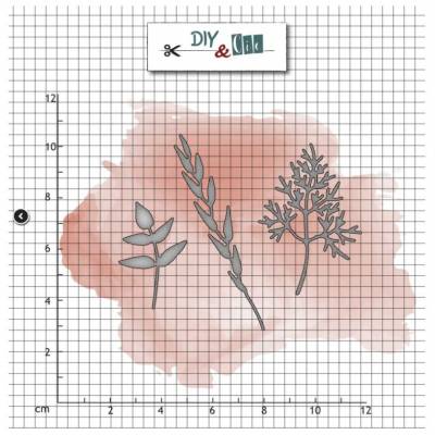 Dies - DiY and Cie - Céréales