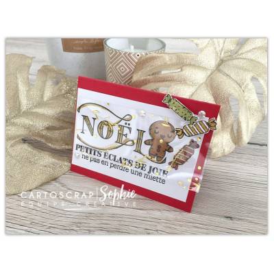 Tampons CartoScrap - Eclats de joie