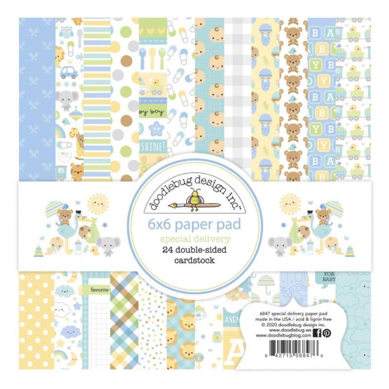Pack Papier 15.2 x 15.2 - Doodlebug - Special Delivery - Naissance