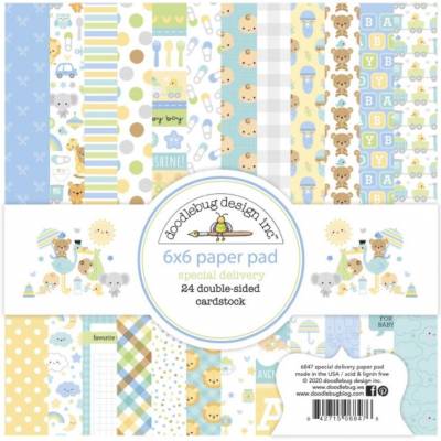 Pack Papier 15.2 x 15.2 - Doodlebug - Special Delivery - Naissance