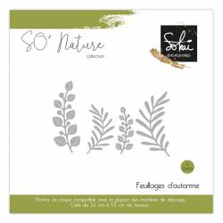 Dies - Sokai - So' Nature- Feuillages d'automne