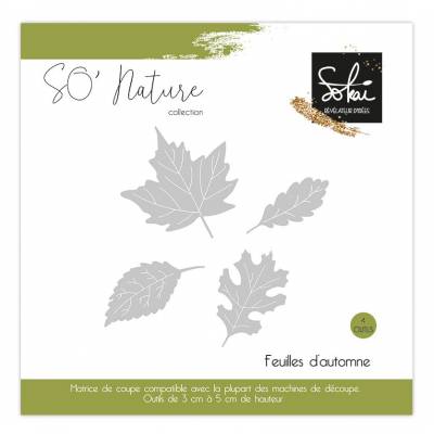 Dies - Sokai - So' Nature- Feuilles d'automne