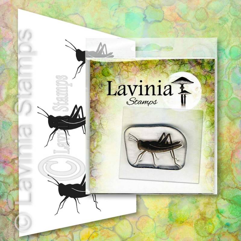 Tampon Clear - Lavinia - Jiminy