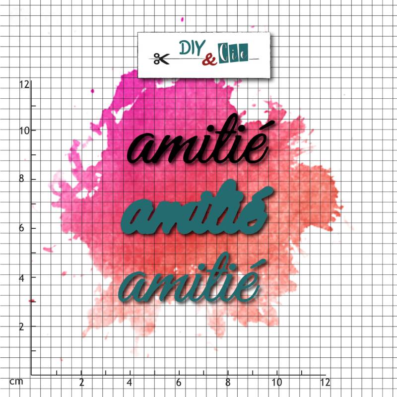 Dies & tampon - DiY and Cie - Amitié