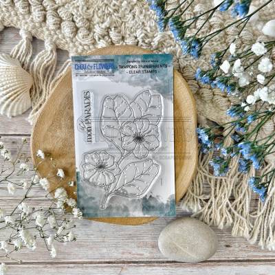 Tampons Clear - Fleur de kiwi - Chou & Flowers