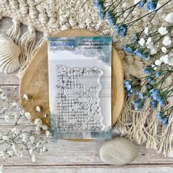Tampons Clear - Fond tâche - Chou & Flowers