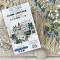 Tampons Clear - Les bagages - Chou & Flowers