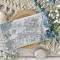 Tampons Clear - Les bagages - Chou & Flowers