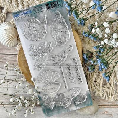 Tampons Clear - Maisons coquillages - Chou & Flowers