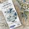 Tampons Clear - Maisons coquillages - Chou & Flowers