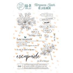 Tampons clear - HA.PI Little Fox - Rivedoux - Ré la Blanche -