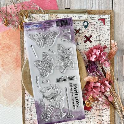 Tampons Clear - Specimen - Chou & Flowers