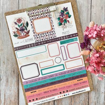 Papeterie créative - Cabinet des curiosités - Chou & Flowers