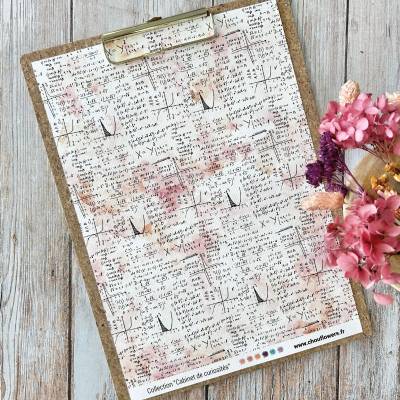 Papeterie créative - Cabinet des curiosités - Chou & Flowers