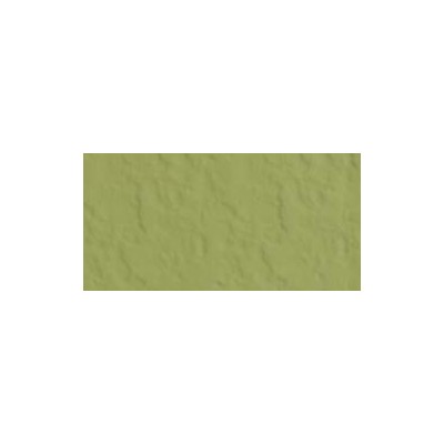 Bazzill Celery - Texture Orange Peel