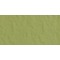 Bazzill Celery - Texture Orange Peel