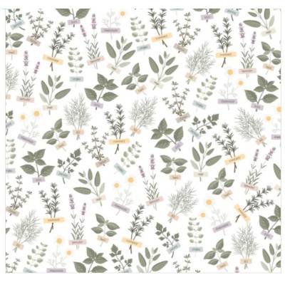 Fleurs & Herbes - Paper Pack 30.5 cm x 30.5 cm - Modascrap