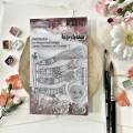 Tampons Clear - Koinobori - Soleil Levant - Chou & Flowers