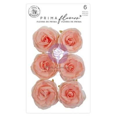 Fleurs Prima - Peachy queen