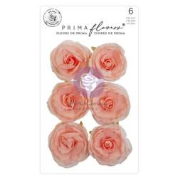 Fleurs Prima - Peachy queen
