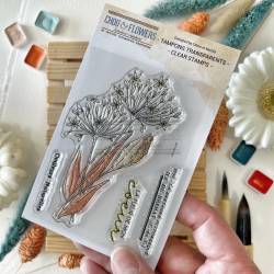 Tampons Clear - Agapanthe - Souvenirs d'été - Chou & Flowers