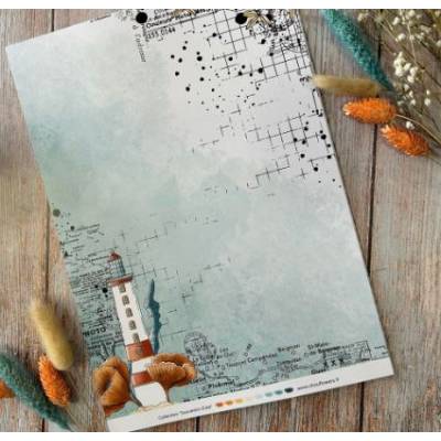 Papeterie créative - Souvenirs d'été - Chou & Flowers