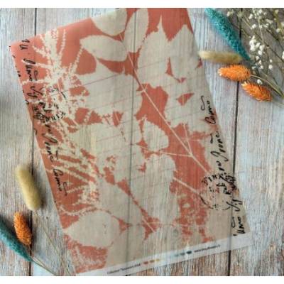 Les Junks Souvenirs d'été - Chou & Flowers