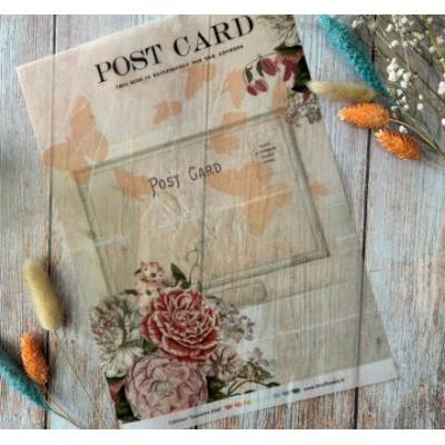 Les Junks Souvenirs d'été - Chou & Flowers