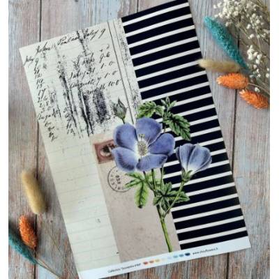 Les Junks Souvenirs d'été - Chou & Flowers