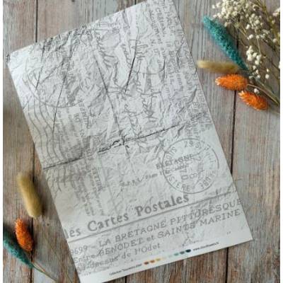 Les Junks Souvenirs d'été - Chou & Flowers