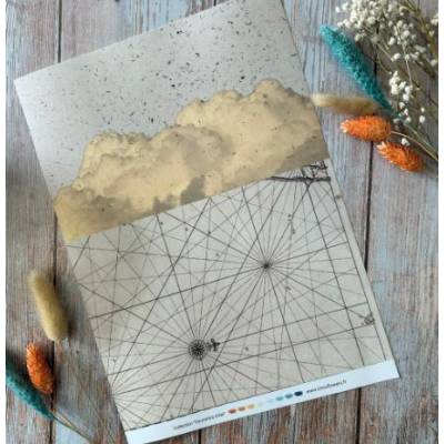 Les Junks Souvenirs d'été - Chou & Flowers