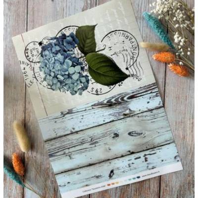 Les Junks Souvenirs d'été - Chou & Flowers